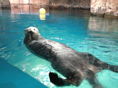 豊橋総合動植物公園（のんほいパーク）の写真