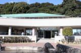 ぎょぎょランド（赤塚山公園内）の写真