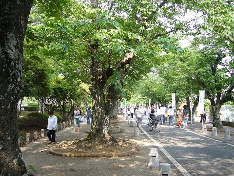 豊川公園の写真