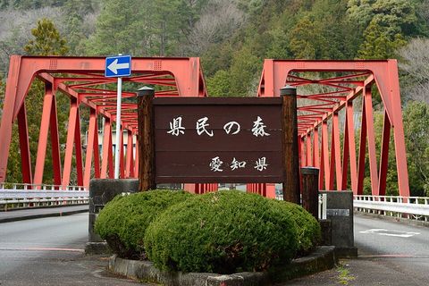 愛知県民の森の写真