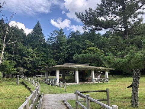 段戸裏谷原生林（きららの森）の写真