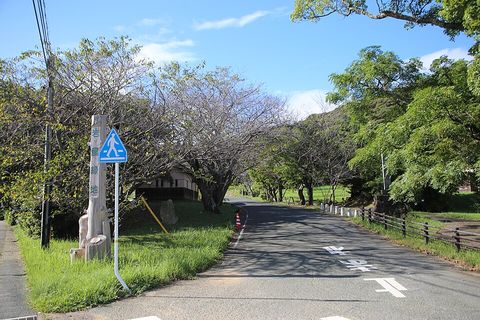 岩屋緑地の写真